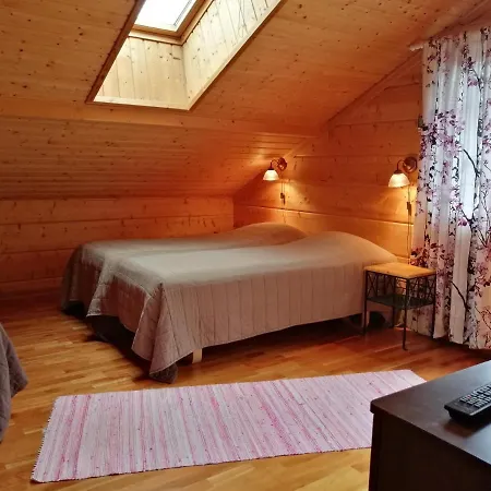 Tahkonhovi Golden Guest house *