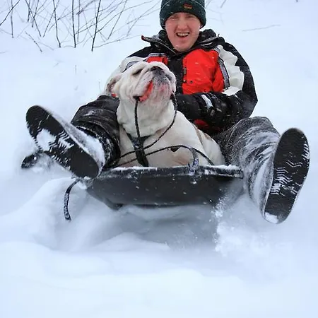 Pensión Tahkonhovi Golden Tahkovuori