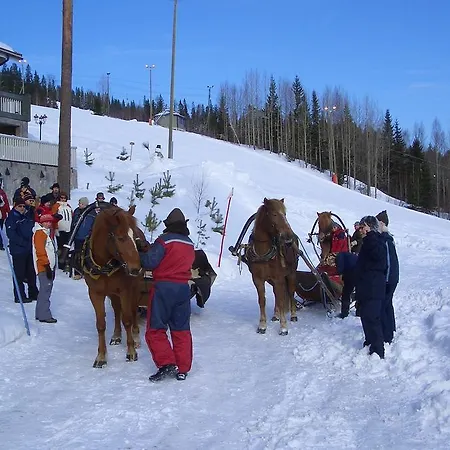 Gasthuis Tahkonhovi Golden