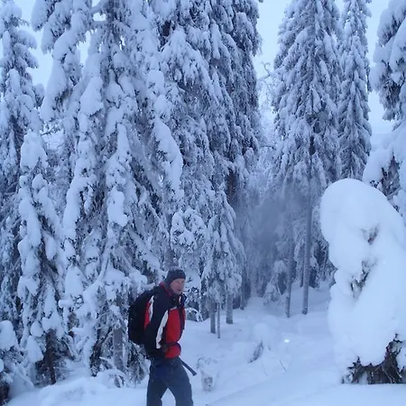 Tahkonhovi Golden Gasthuis