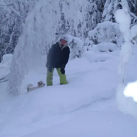 Tahkonhovi Golden Pensión *