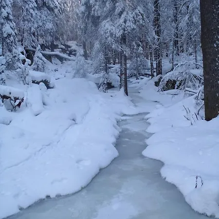 Pensión Tahkonhovi Golden *