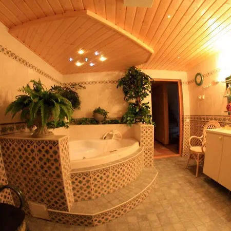 Gasthuis Tahkonhovi Golden *